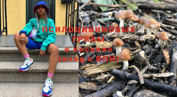 винт Богородицк